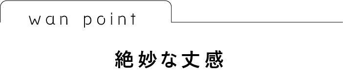 wan point:絶妙な丈感